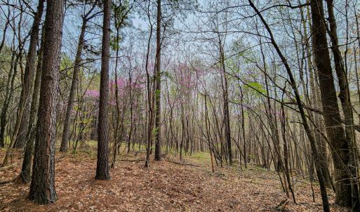 Photo #35 of SOLD property in Off Coopers Mountain Rd, Martinsville, VA 36.4 acres