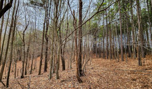 Photo #36 of SOLD property in Off Coopers Mountain Rd, Martinsville, VA 36.4 acres