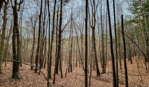 Photo #37 of SOLD property in Off Coopers Mountain Rd, Martinsville, VA 36.4 acres