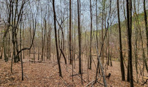 Photo #38 of SOLD property in Off Coopers Mountain Rd, Martinsville, VA 36.4 acres
