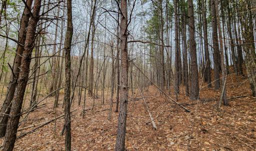 Photo #39 of SOLD property in Off Coopers Mountain Rd, Martinsville, VA 36.4 acres