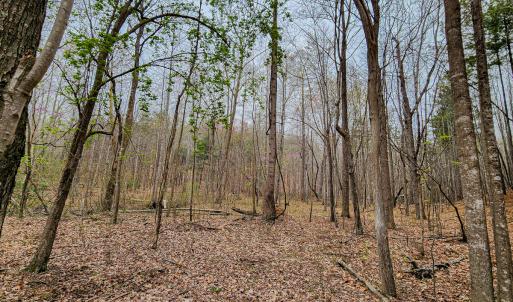 Photo #40 of SOLD property in Off Coopers Mountain Rd, Martinsville, VA 36.4 acres