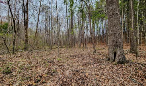 Photo #41 of SOLD property in Off Coopers Mountain Rd, Martinsville, VA 36.4 acres