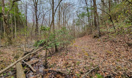 Photo #43 of SOLD property in Off Coopers Mountain Rd, Martinsville, VA 36.4 acres
