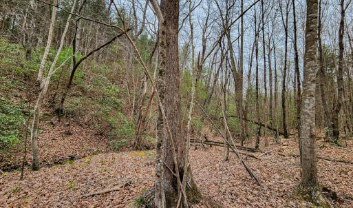 Photo #44 of SOLD property in Off Coopers Mountain Rd, Martinsville, VA 36.4 acres