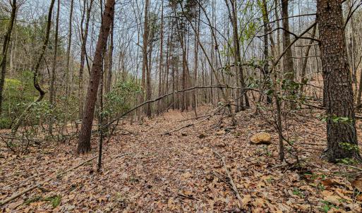 Photo #45 of SOLD property in Off Coopers Mountain Rd, Martinsville, VA 36.4 acres