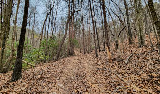 Photo #46 of Off Coopers Mountain Rd, Martinsville, VA 36.4 acres