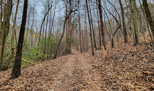 Photo #46 of SOLD property in Off Coopers Mountain Rd, Martinsville, VA 36.4 acres