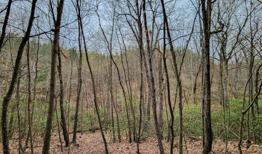 Photo #47 of SOLD property in Off Coopers Mountain Rd, Martinsville, VA 36.4 acres