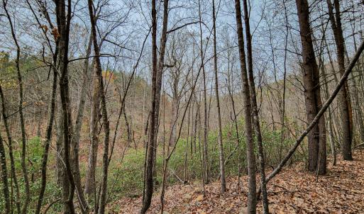 Photo #48 of SOLD property in Off Coopers Mountain Rd, Martinsville, VA 36.4 acres