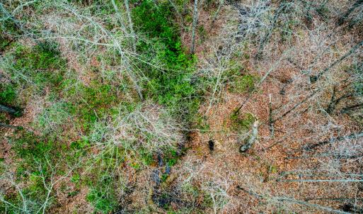 Photo #50 of SOLD property in Off Coopers Mountain Rd, Martinsville, VA 36.4 acres