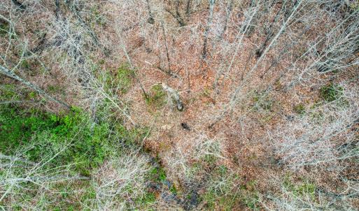 Photo #51 of SOLD property in Off Coopers Mountain Rd, Martinsville, VA 36.4 acres