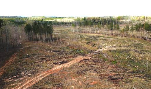 Photo #7 of SOLD property in Off Overbey Rd, Nelson, VA 88.5 acres