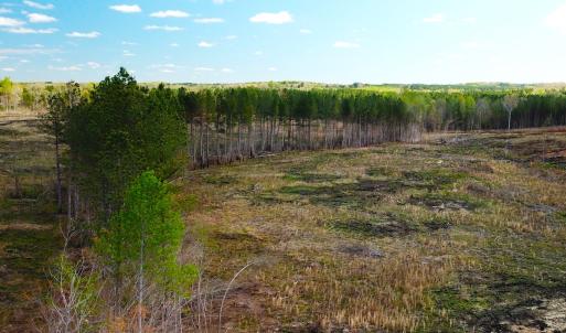 Photo #8 of SOLD property in Off Overbey Rd, Nelson, VA 88.5 acres