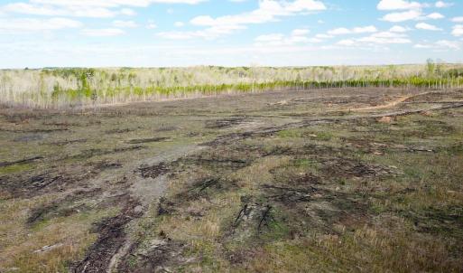 Photo #9 of SOLD property in Off Overbey Rd, Nelson, VA 88.5 acres