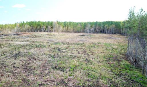 Photo #10 of SOLD property in Off Overbey Rd, Nelson, VA 88.5 acres