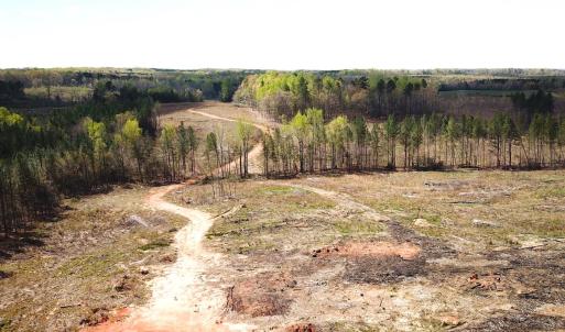 Photo #11 of SOLD property in Off Overbey Rd, Nelson, VA 88.5 acres