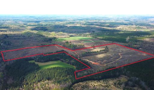 Photo #13 of SOLD property in Off Overbey Rd, Nelson, VA 88.5 acres