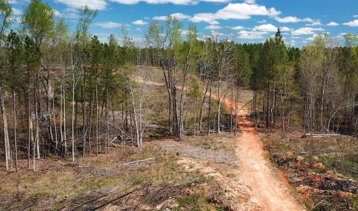 Photo #16 of SOLD property in Off Overbey Rd, Nelson, VA 88.5 acres