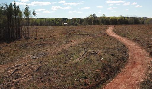 Photo #17 of Off Overbey Rd, Nelson, VA 88.5 acres