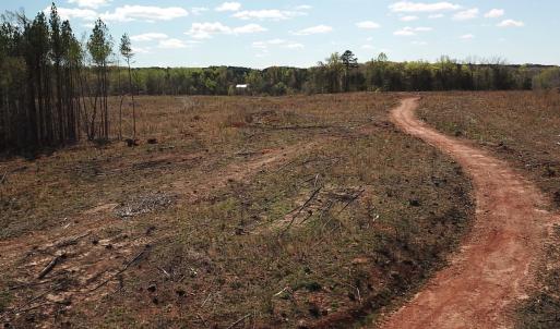 Photo #17 of SOLD property in Off Overbey Rd, Nelson, VA 88.5 acres