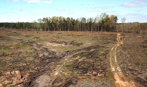 Photo #18 of SOLD property in Off Overbey Rd, Nelson, VA 88.5 acres