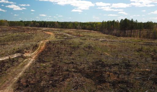 Photo #19 of SOLD property in Off Overbey Rd, Nelson, VA 88.5 acres