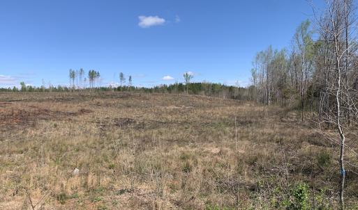 Photo #20 of SOLD property in Off Overbey Rd, Nelson, VA 88.5 acres