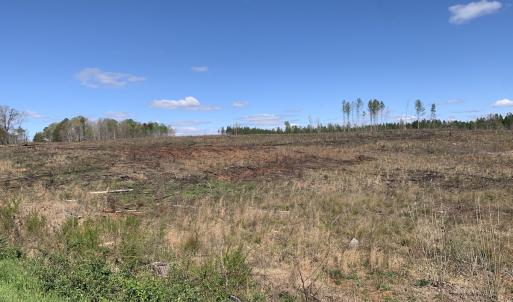 Photo #21 of SOLD property in Off Overbey Rd, Nelson, VA 88.5 acres