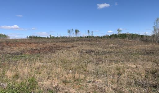 Photo #22 of SOLD property in Off Overbey Rd, Nelson, VA 88.5 acres