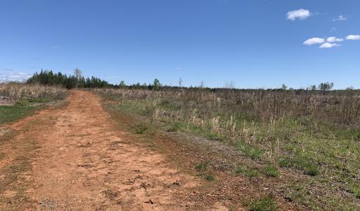 Photo #23 of SOLD property in Off Overbey Rd, Nelson, VA 88.5 acres