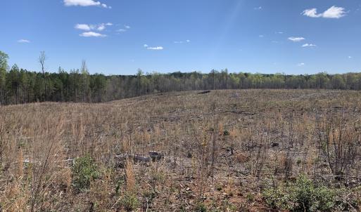 Photo #24 of SOLD property in Off Overbey Rd, Nelson, VA 88.5 acres