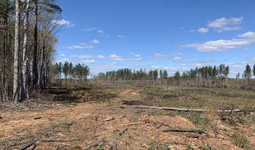 Photo #25 of SOLD property in Off Overbey Rd, Nelson, VA 88.5 acres