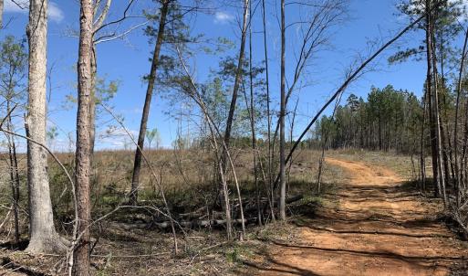 Photo #26 of SOLD property in Off Overbey Rd, Nelson, VA 88.5 acres