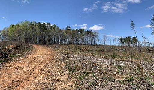 Photo #27 of SOLD property in Off Overbey Rd, Nelson, VA 88.5 acres