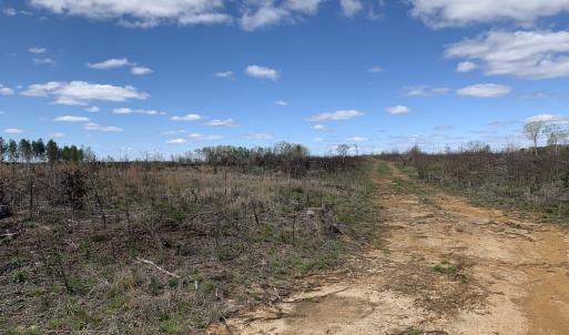 Photo #28 of SOLD property in Off Overbey Rd, Nelson, VA 88.5 acres