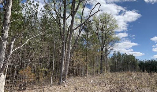 Photo #29 of SOLD property in Off Overbey Rd, Nelson, VA 88.5 acres