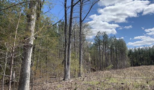 Photo #31 of SOLD property in Off Overbey Rd, Nelson, VA 88.5 acres