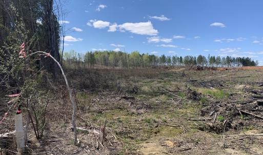 Photo #33 of SOLD property in Off Overbey Rd, Nelson, VA 88.5 acres