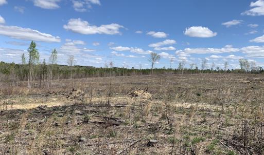 Photo #39 of SOLD property in Off Overbey Rd, Nelson, VA 88.5 acres