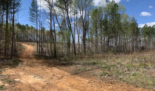 Photo #41 of SOLD property in Off Overbey Rd, Nelson, VA 88.5 acres