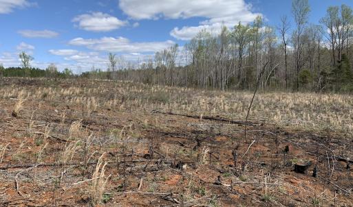 Photo #44 of SOLD property in Off Overbey Rd, Nelson, VA 88.5 acres