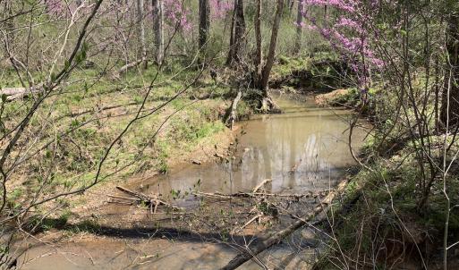 Photo #45 of SOLD property in Off Overbey Rd, Nelson, VA 88.5 acres