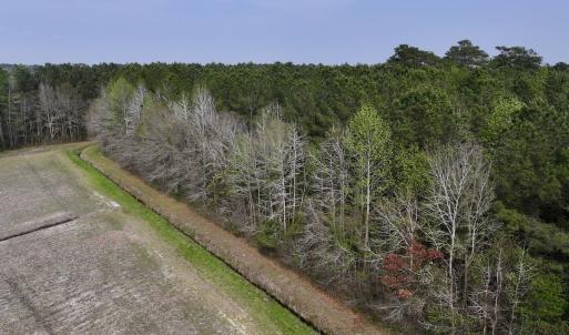 Photo #14 of Off Hwy 306, Grantsboro, NC 31.8 acres