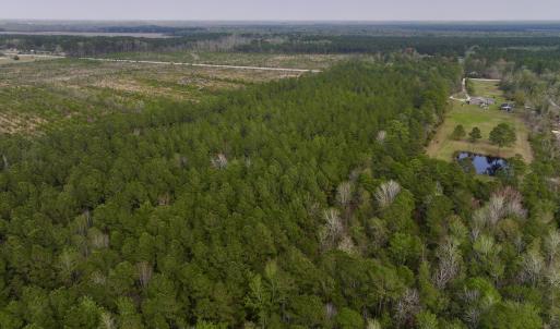 Photo #17 of SOLD property in Off Hwy 306, Grantsboro, NC 31.8 acres