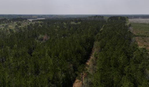 Photo #5 of SOLD property in Off Hwy 306, Grantsboro, NC 31.8 acres