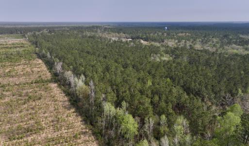 Photo #8 of SOLD property in Off Hwy 306, Grantsboro, NC 31.8 acres