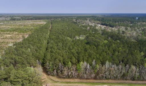 Photo #9 of SOLD property in Off Hwy 306, Grantsboro, NC 31.8 acres
