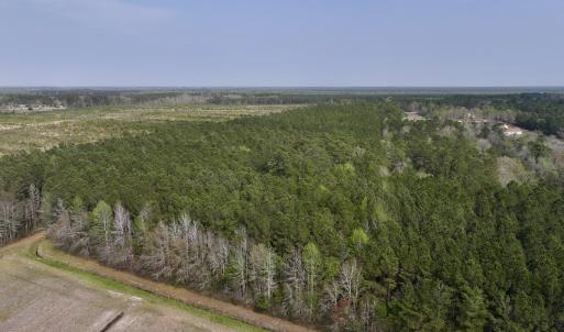 Photo #10 of SOLD property in Off Hwy 306, Grantsboro, NC 31.8 acres