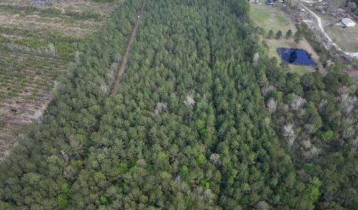 Photo #22 of SOLD property in Off Hwy 306, Grantsboro, NC 31.8 acres